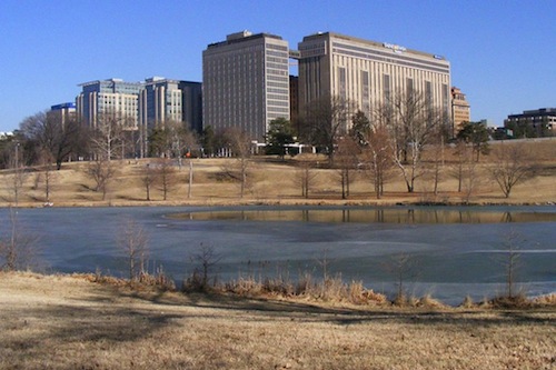 washu